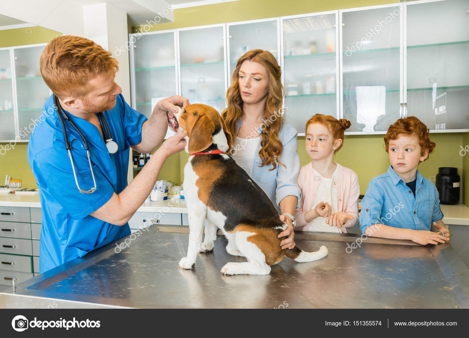 Medicinas y Botiquín para Mascotas en Viaje: Qué Llevar